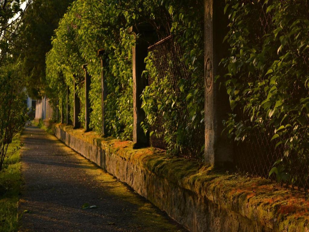 Turján Vendégház Erdőbénye Extérieur photo